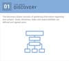 Web Design Process - Discovery Icon
