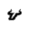 USF Client logo