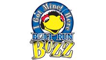 Tampa Bay Lightning Bolt Run Logo Design